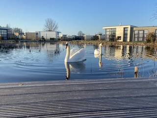 Chalet Olburgen Registrazione all'aperto 8