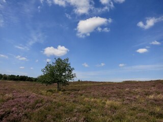 Chalet Olburgen Ambiente 26