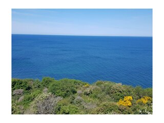 Casa de vacaciones Dreschvitz Entorno 31