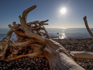 Casa per le vacanze Dreschvitz Ambiente 35