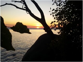 Casa per le vacanze Dreschvitz Ambiente 31