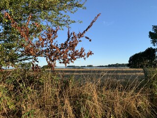 Casa per le vacanze Dreschvitz Ambiente 28