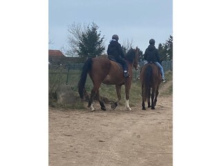 Casa per le vacanze Dreschvitz Ambiente 38