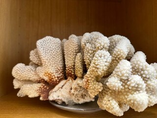 Appartamento per vacanze Wangerooge Registrazione all'aperto 24