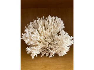 Appartamento per vacanze Wangerooge Registrazione all'aperto 12