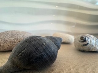 Ferienwohnung Wangerooge Außenaufnahme 47