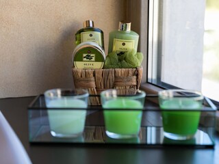 Villa Porec Caratteristiche 26