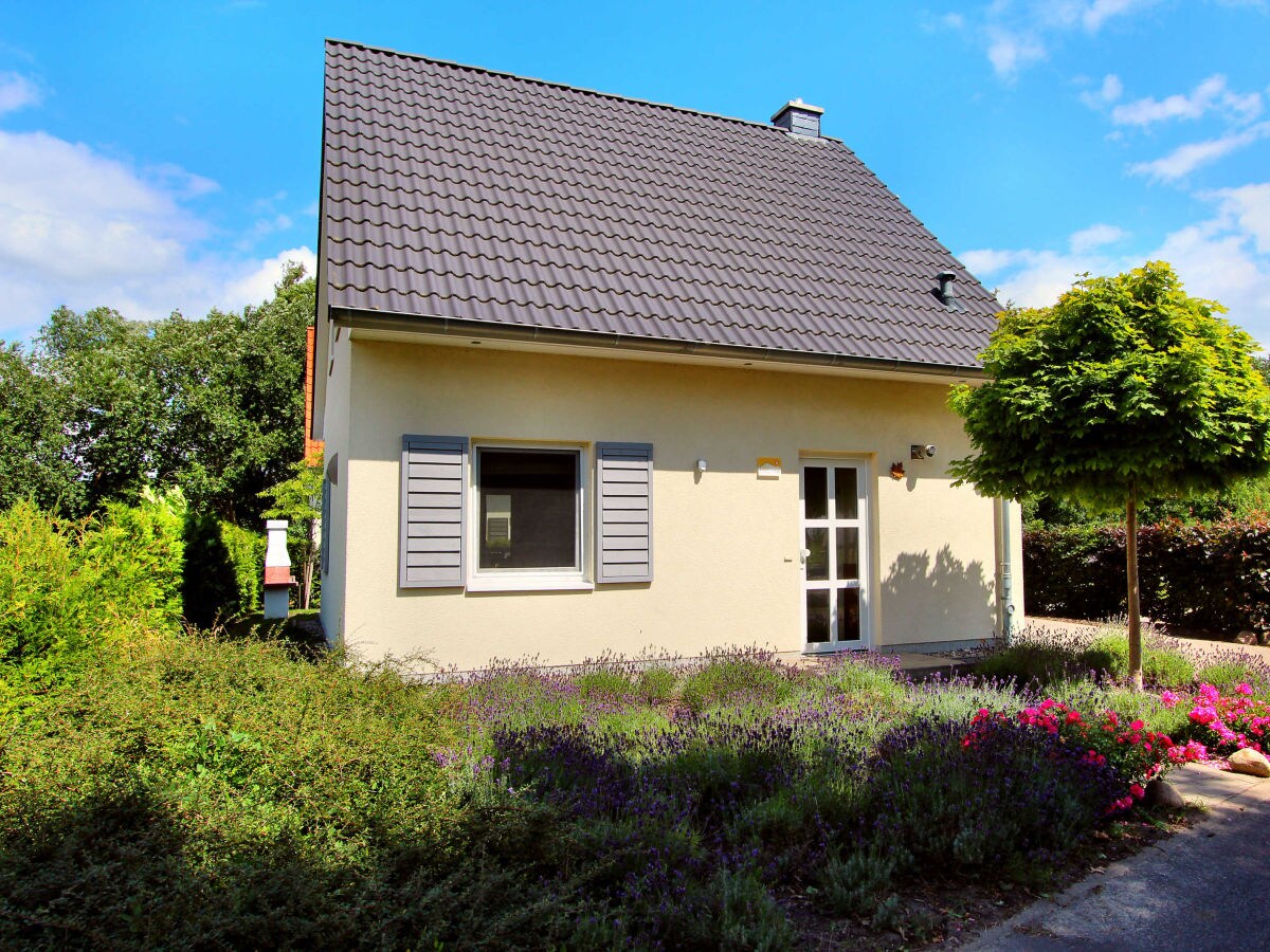 Ferienhaus Haus Ahorn Seenahe Incl Gohren Lebbin Firma Gsa