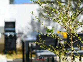 Appartamento per vacanze Pula Documento 29