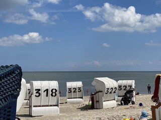 Eigener Strandkorb am Hundestrand