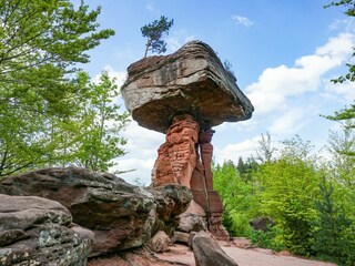 Casa per le vacanze Ludwigswinkel Ambiente 31