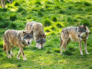 Casa per le vacanze Ludwigswinkel Ambiente 39