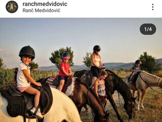 Villa Zagvozd Omgeving 51