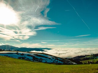 Schwarzwald