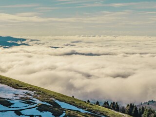 Schwarzwald