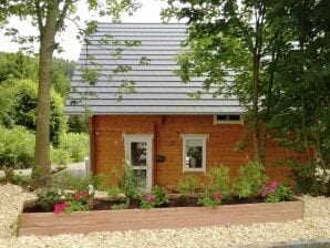 Vakantiehuis Luxe houten huis met eigen sauna, tuin en terras in Küstelberg - Winterberg - image1