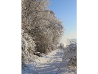 verschneite Wanderwege