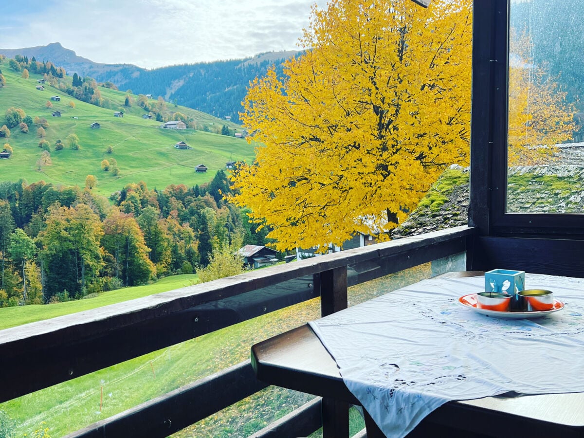 Engel Ingold Lodge "Chalet Bärgblümli"  #balcony #view