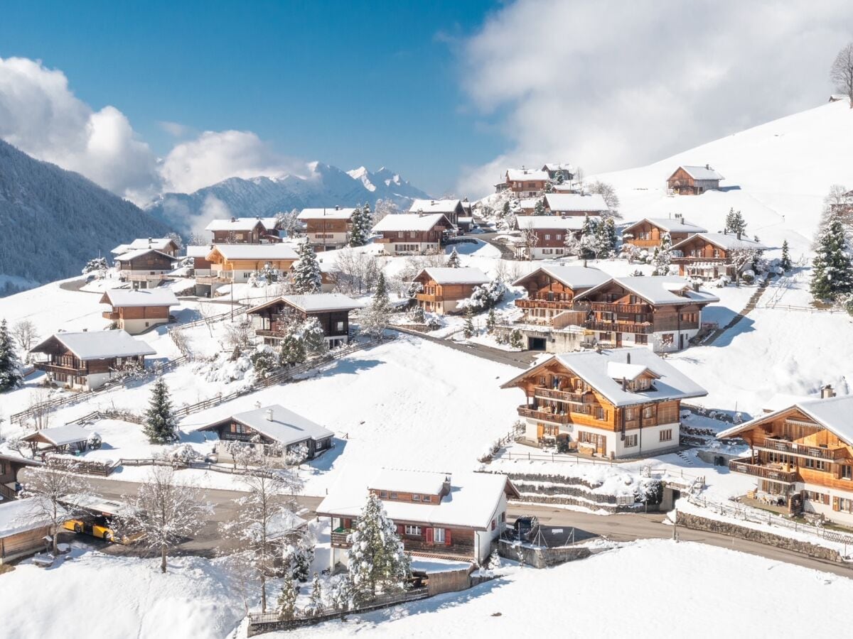 Engel Ingold Lodge "Chalet Bärgblümli"  #VintageChalet