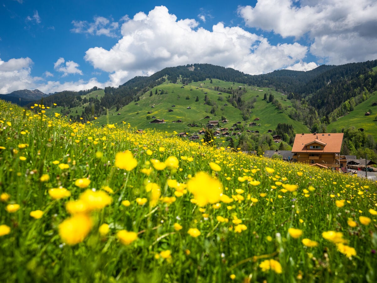 Habkern Switzerland Engel Ingold Lodge VIEW