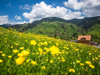 Habkern Switzerland Engel Ingold Lodge VIEW