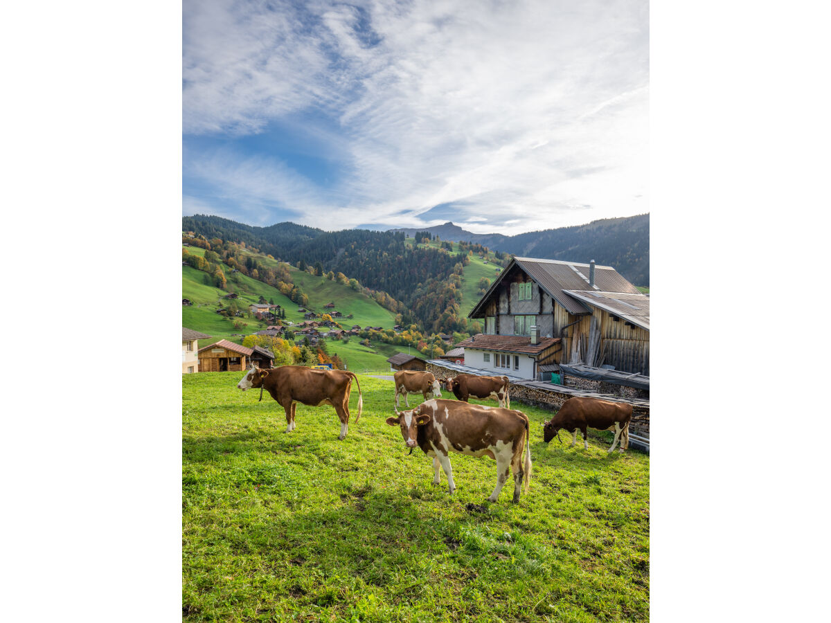 Habkern Switzerland Engel Ingold Lodge VIEW