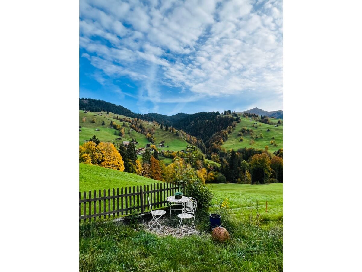 Engel Ingold Lodge "Chalet Bärgblümli"  #view #garden