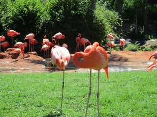 Casa per le vacanze Cape Coral Ambiente 22