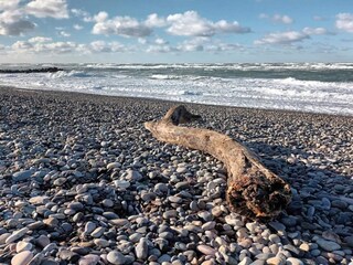 Vakantiehuis Skagen  16