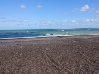 Appartement Tranum Strand  41