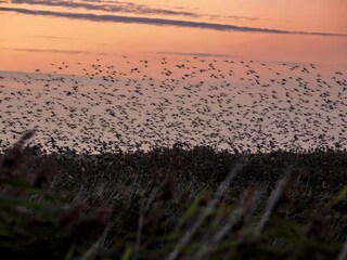 Vakantiehuis Kongsmark  22