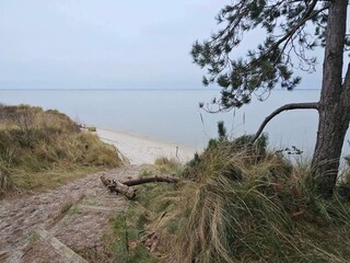 Vakantiehuis Kongsmark  10