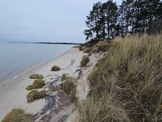 Holiday house Kongsmark  26