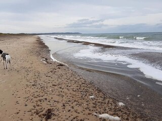 Apartment Tranum Strand  24