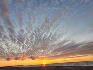 Apartment Tranum Strand  51