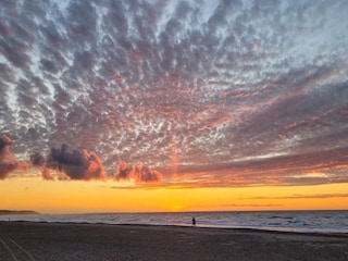 Apartment Tranum Strand  16