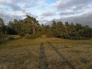 Ferienhaus Kalmar  25