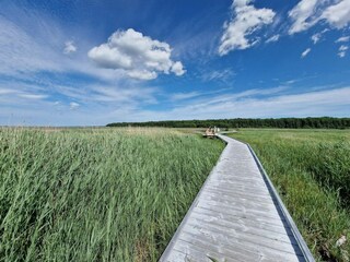 Vakantiehuis Kalmar  20