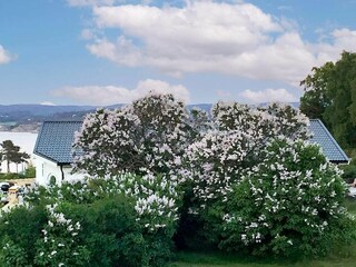 Ferienhaus Varekil Außenaufnahme 3