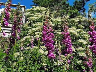 Vakantiehuis Varekil Buitenaudio-opname 7