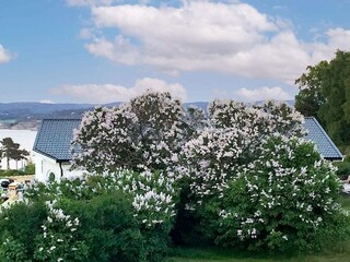 Ferienhaus Varekil Außenaufnahme 7