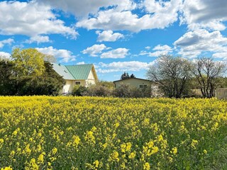 Vakantiehuis Visby  14