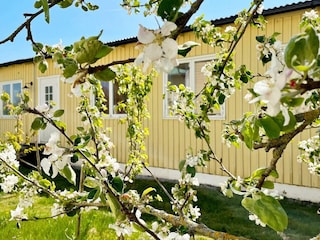 Holiday house Visby Outdoor Recording 3