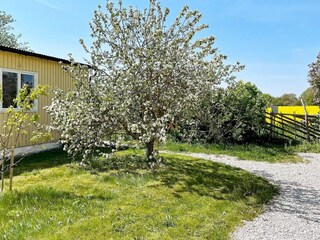 Ferienhaus Visby Außenaufnahme 4