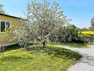 Holiday house Visby Outdoor Recording 4