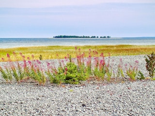 Holiday house Visby  14