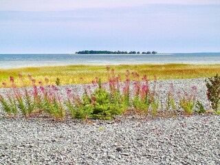 Holiday house Visby  8