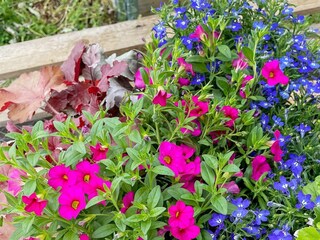 Vakantiehuis Visby  11