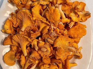 Holiday house Visby  23