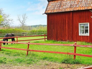 Ferienhaus Flen Außenaufnahme 3